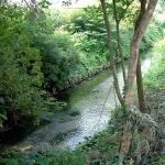 Risorgiva oasi della bòra