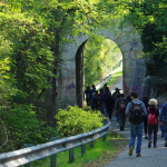 Bioblitza all'Urban Nature 2021