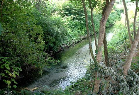 oasie e gestione aree verdi