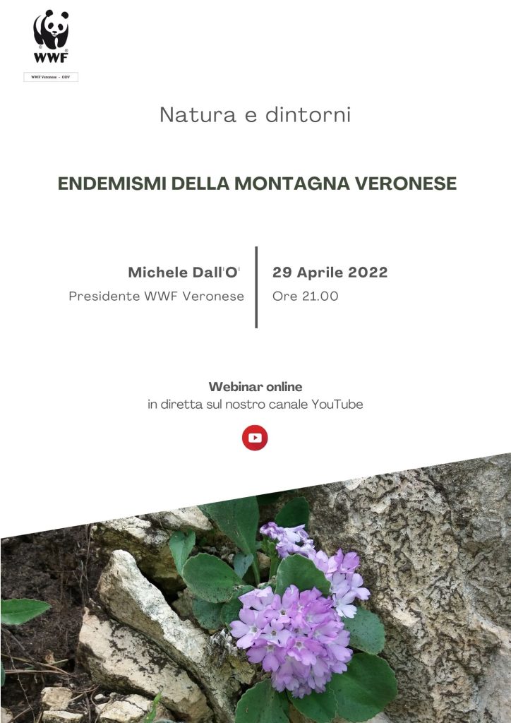 Locandina webinar Natura e Dintorni