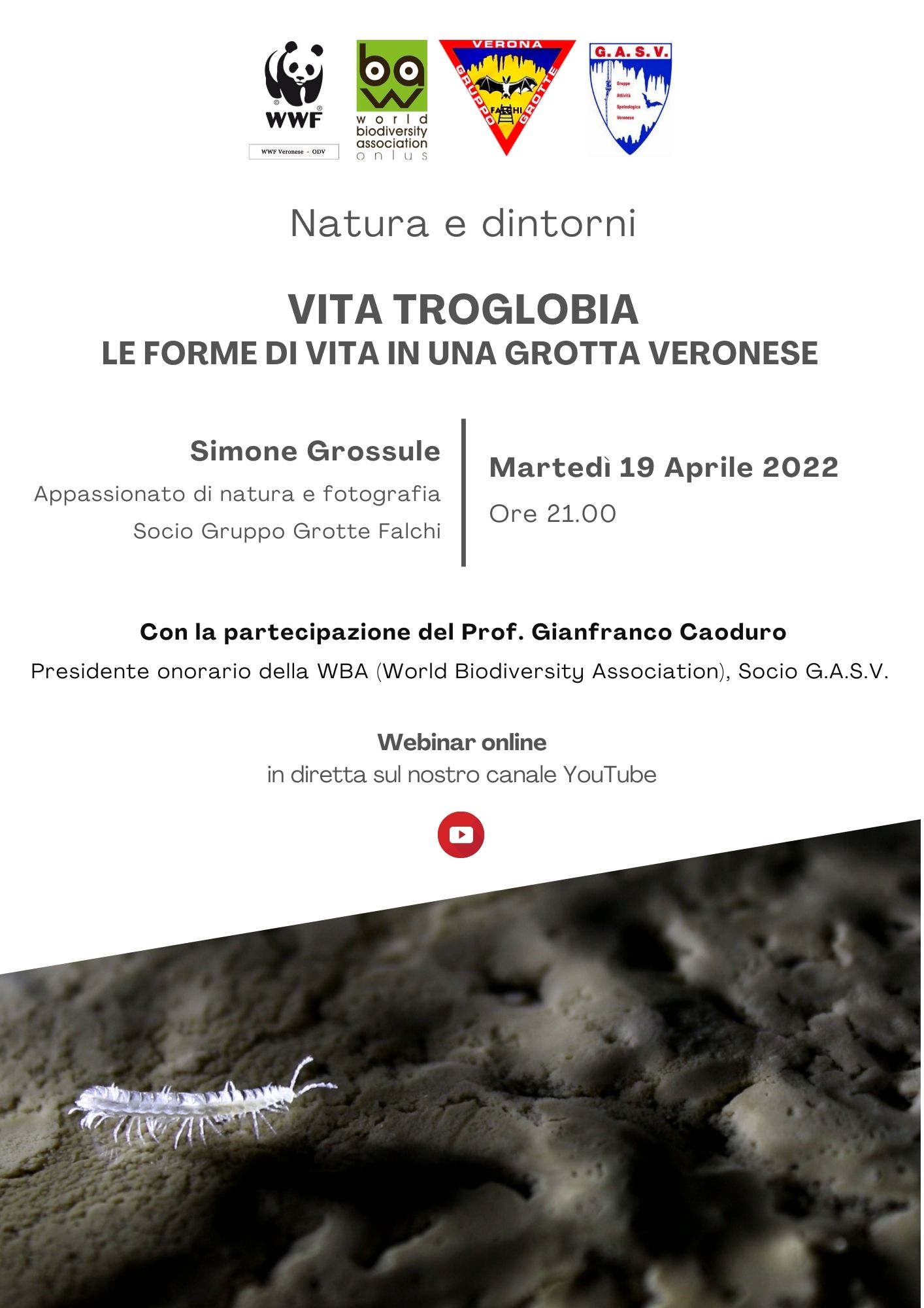 Locandina Natura e Dintorni