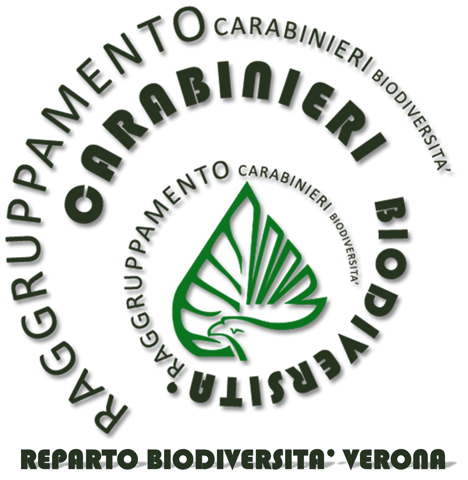 Centro Nazionale Carabinieri Biodiversità Peri