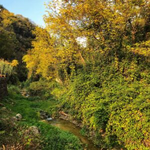 📷 @valledeimulinicostermano