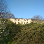 Monte Mamaor