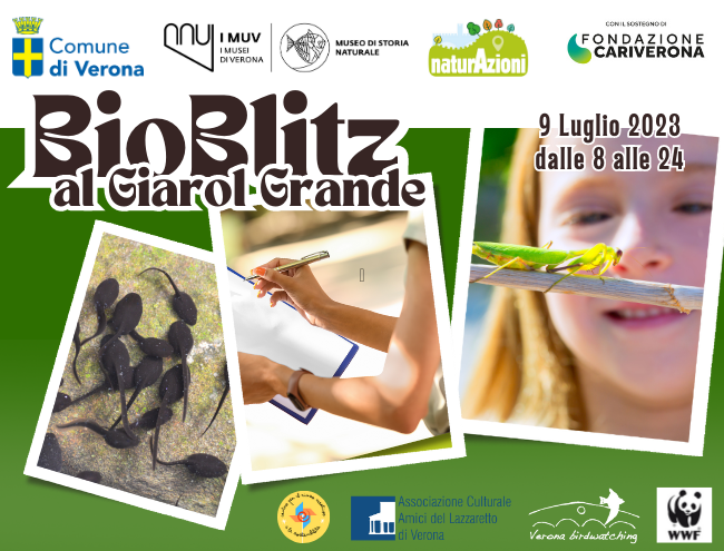 Bioblitz al Giarol Grande locandina