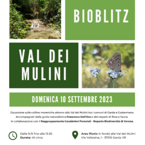Locandina Bioblitz in Val dei Mulini 2023