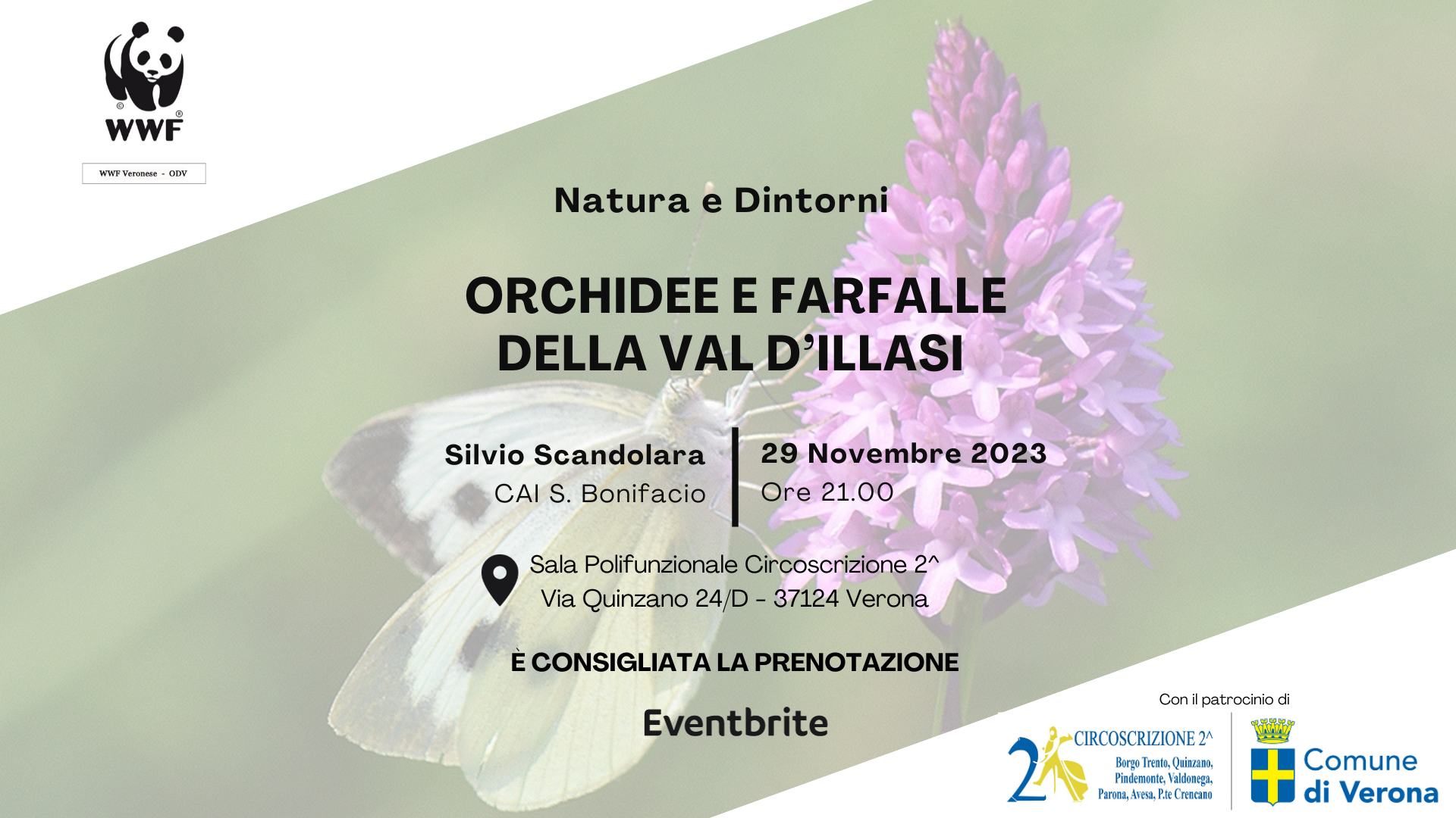 Locandina orchidee e farfalle della Val d'Illasi