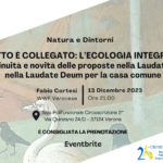 Tutto è collegato l'ecologia integrale