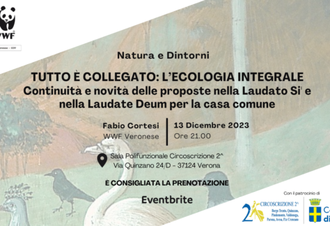 Tutto è collegato l'ecologia integrale