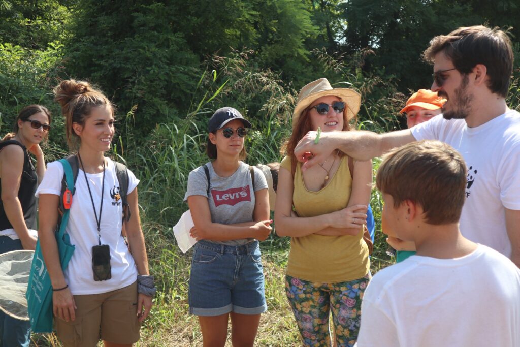 cos'è un bioblitz?