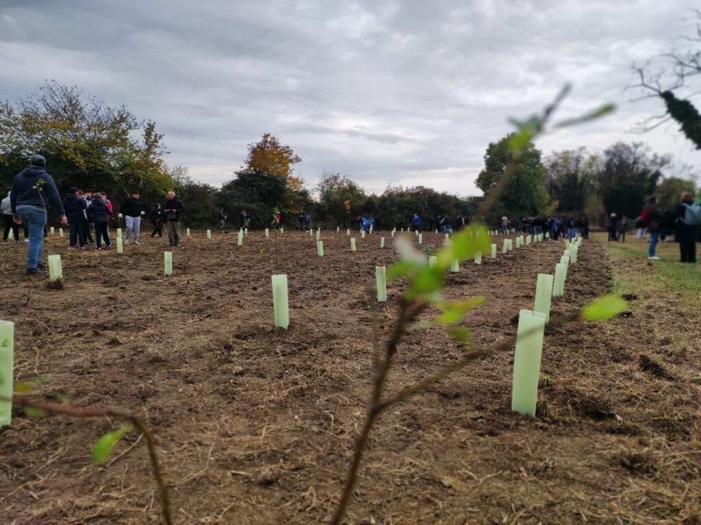 Giornata Mondiale degli Alberi a Povegliano