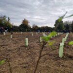 Giornata Mondiale degli Alberi a Povegliano