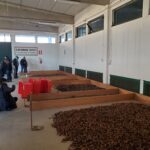 visita al centro nazionale carabinieri biodiversità 3