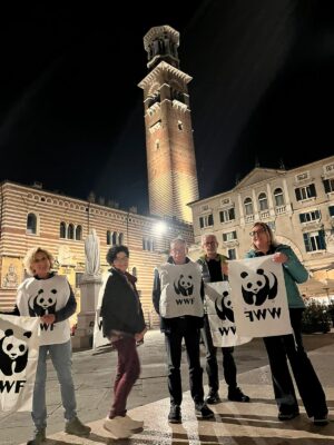 Earth Hour 2024 a Verona - 5