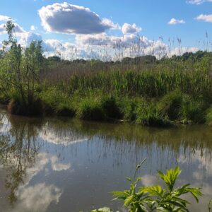 Busatello le vie dell'acqua per l'Apertura Ufficiale 2025