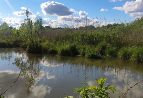 Busatello le vie dell'acqua per l'Apertura Ufficiale 2025
