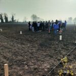 400 alberi piantati a Povegliano con gli studenti