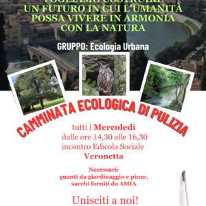 Locandina Camminata Ecologica di Pulizia a Verona