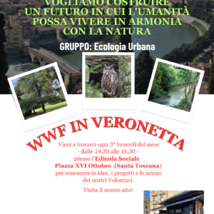 Locandina WWF in Veronetta