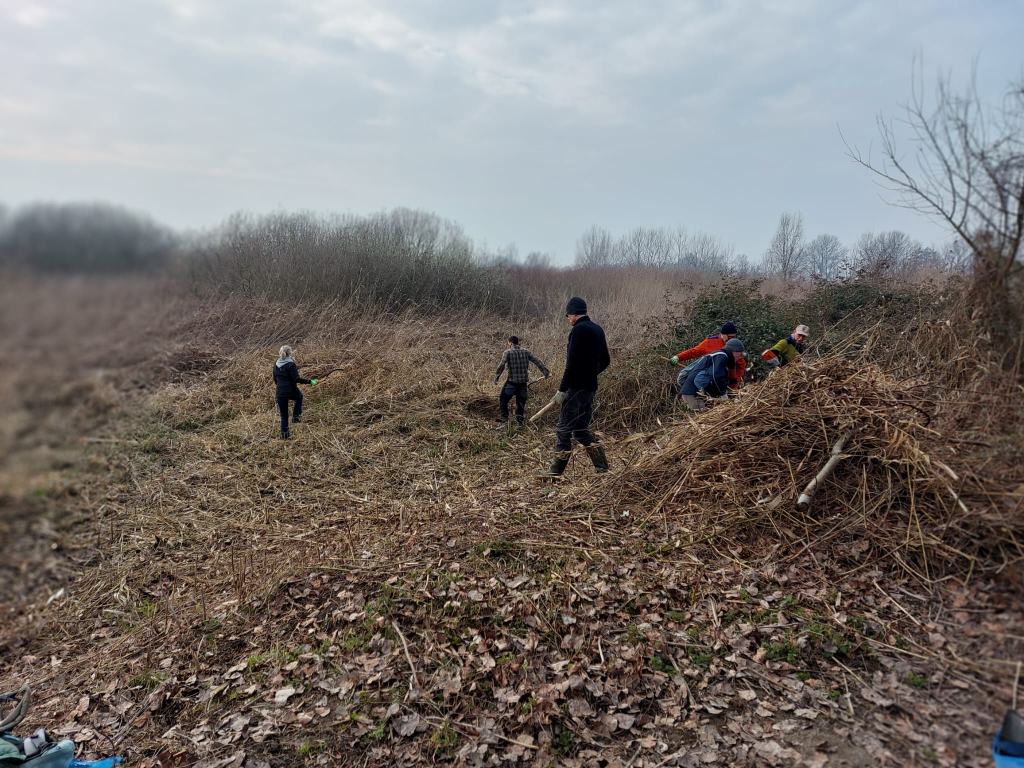 giornata di lavori di sfalcio all'Oasi del Busatello