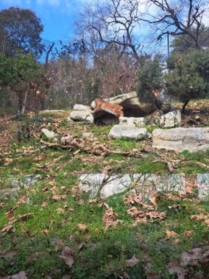 WWF Veronese al Parco Natura Viva - 23