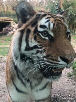 WWF Veronese al Parco Natura Viva - 43