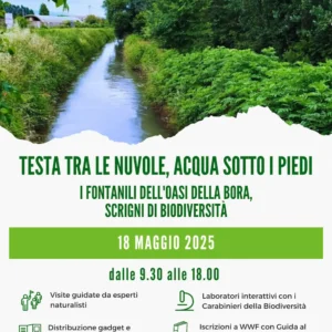 Locandina Giornata delle Oasi 2025 Testa tra le nuvole acqua sotto i piedi