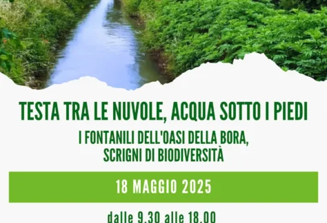 Locandina Giornata delle Oasi 2025 Testa tra le nuvole acqua sotto i piedi