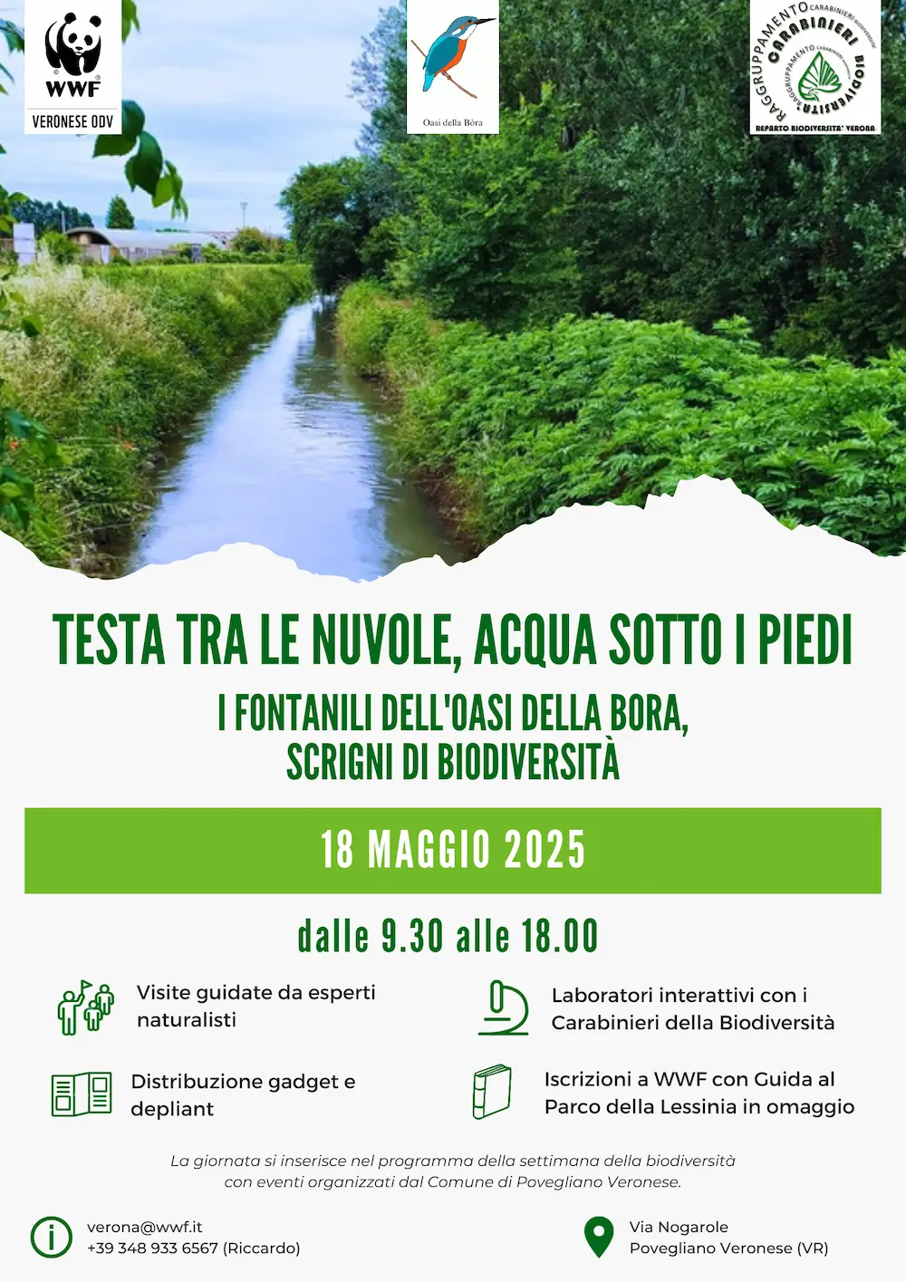 Locandina Giornata delle Oasi 2025 Testa tra le nuvole acqua sotto i piedi