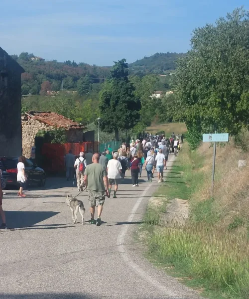 Partecipanti al Cammino della Rotatoria