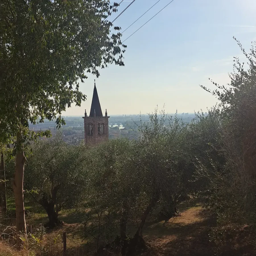 Escursione a Verona per scoprire la biodiversità a km 0 durante Urban Nature 2026
