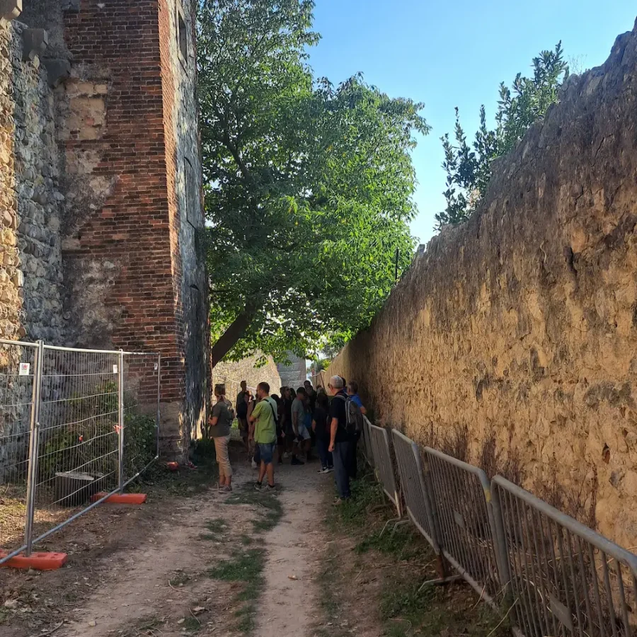 Escursione a Verona per scoprire la biodiversità a km 0 durante Urban Nature 2026