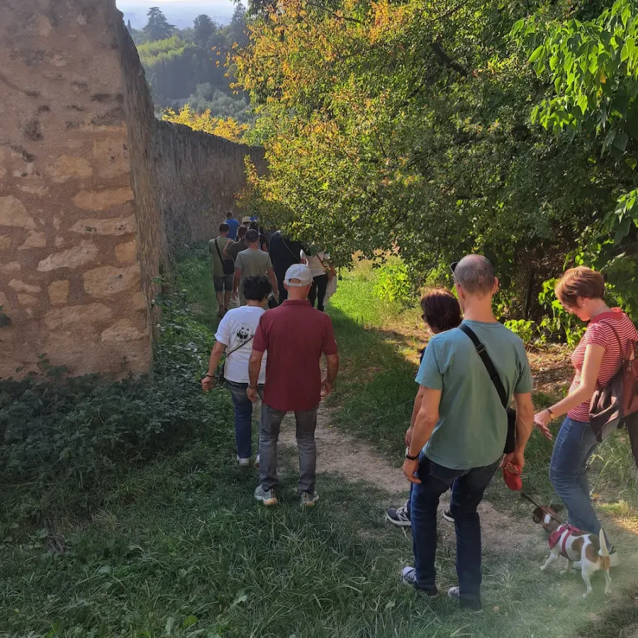 Escursione a Verona per scoprire la biodiversità a km 0 durante Urban Nature 2026