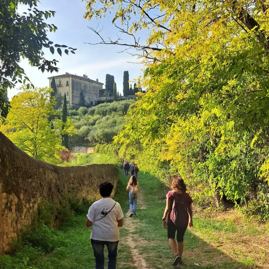 Escursione a Verona per scoprire la biodiversità a km 0 durante Urban Nature 2026