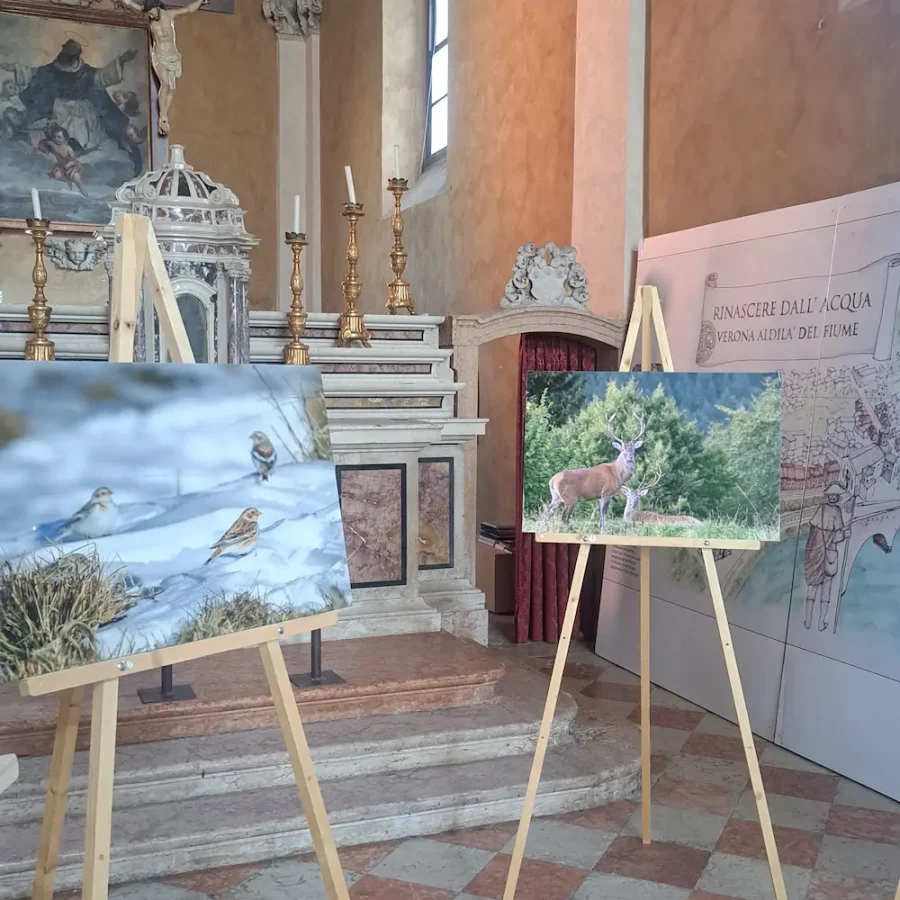 Mostra fotografica a Urban Nature 2026 a Verona