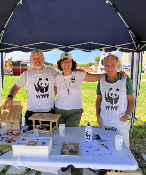 WWF Veronese alla Provianda per Festambiente Verona 2026
