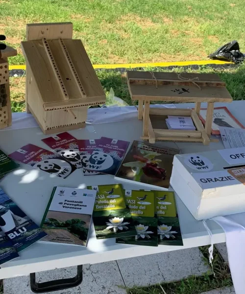 WWF Veronese alla Provianda per Festambiente Verona 2026