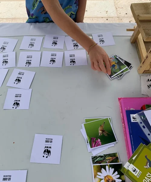 WWF Veronese alla Provianda per Festambiente Verona 2026