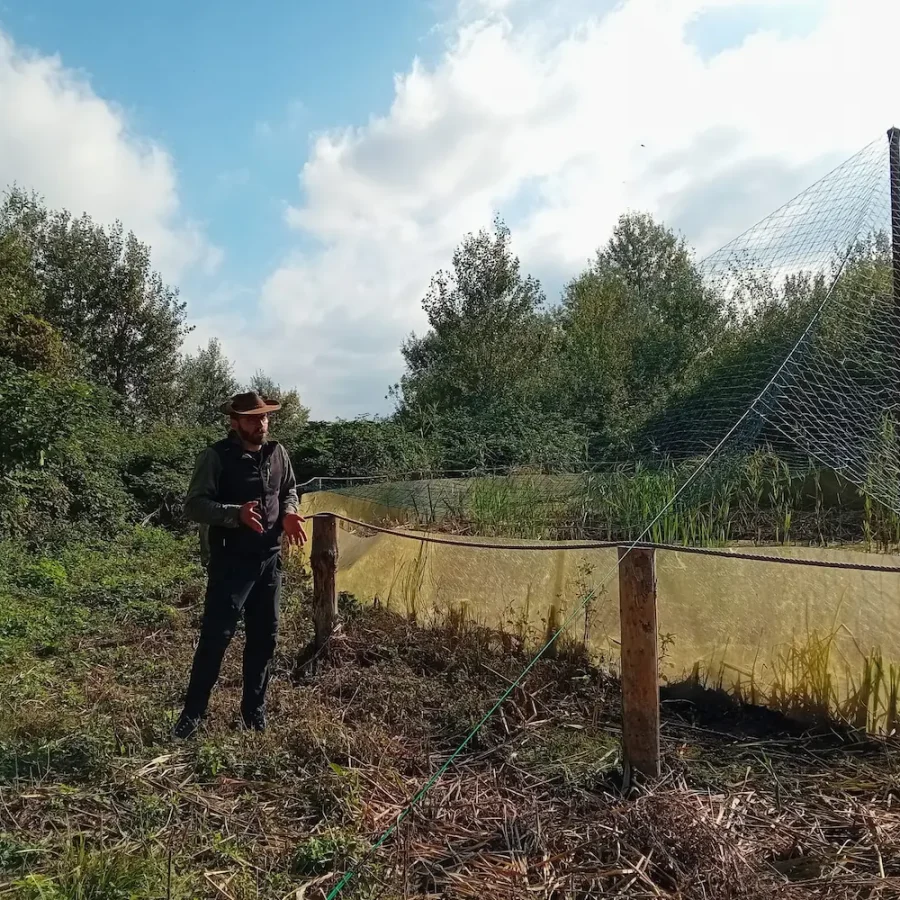 Weekend naturalistico al Busatello 2026