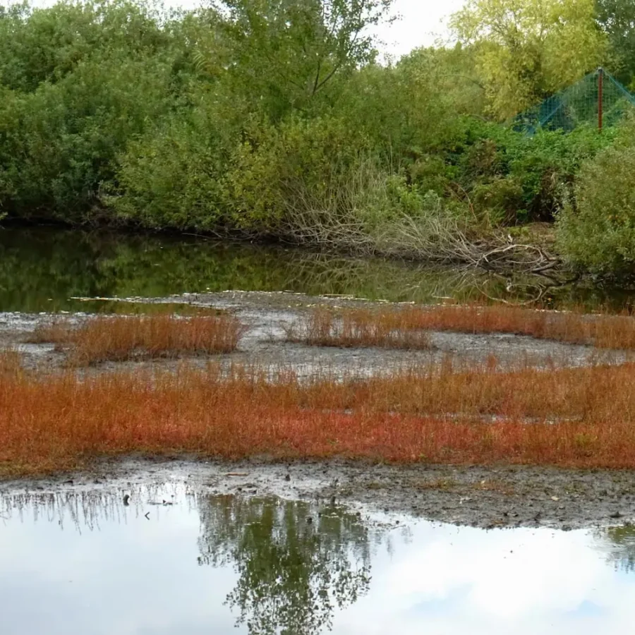 Weekend naturalistico al Busatello 2026