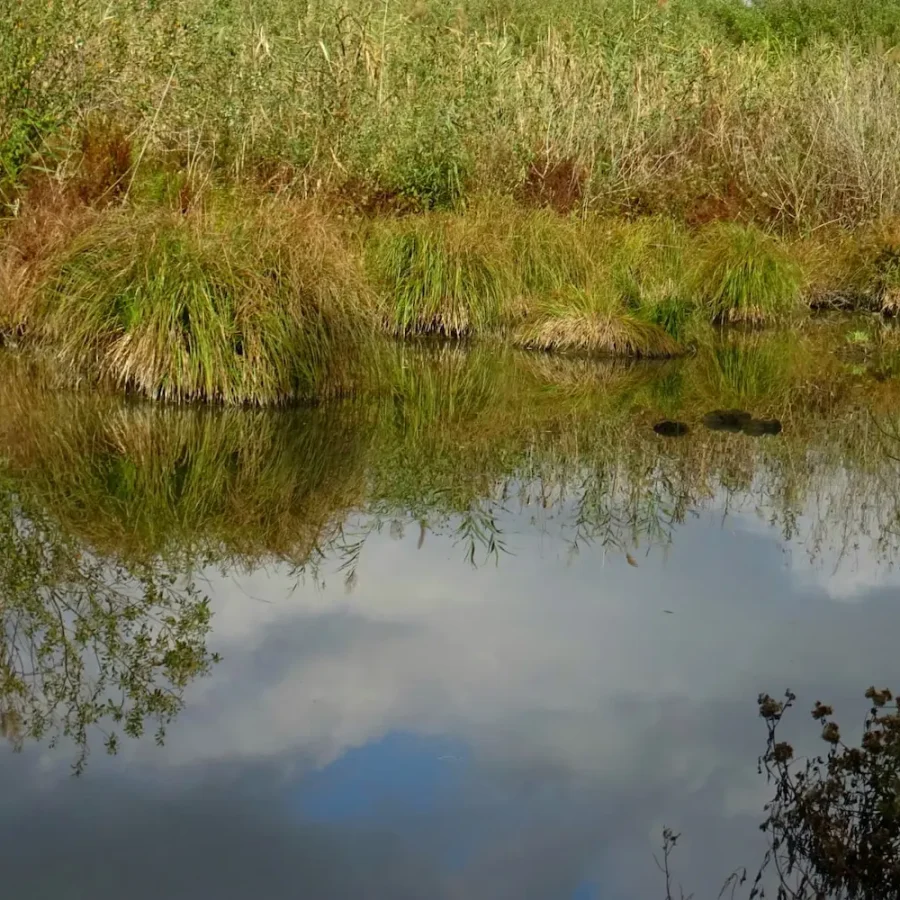 Weekend naturalistico al Busatello 2026