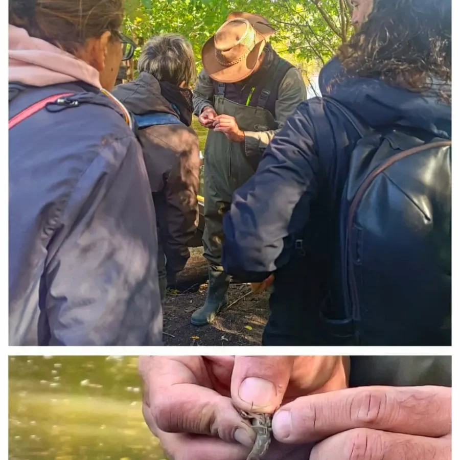 Weekend naturalistico al Busatello 2026
