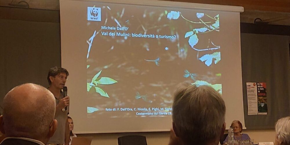 conferenza val dei mulini il ponte va sospeso